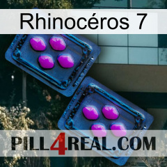 Rhinocéros 7 03